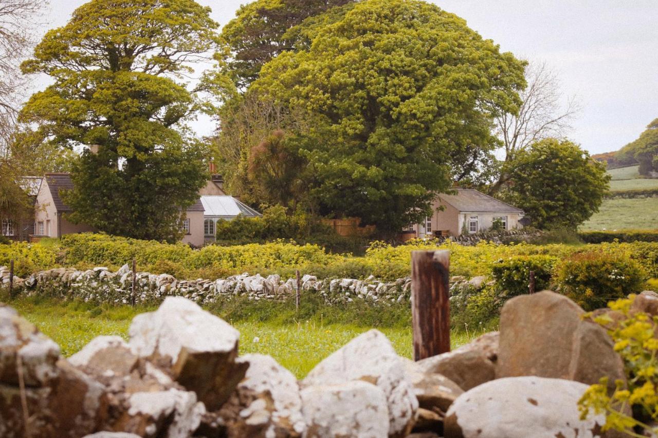 The Alms House Strangford别墅 外观 照片